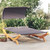 vidaXL Outdoor Lounge Bed Anthracite Solid bent wood and polyester fabric A949-313954 vidaXL Outdoor Lounge Bed Anthracite Solid bent wood and polyester fabric A949-313954