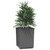vidaXL Planter Set of 2 Black Polypropylene 11.8x11.8x14.6 in. A949-364182 vidaXL Planter Set of 2 Black Polypropylene 11.8x11.8x14.6 in. A949-364182