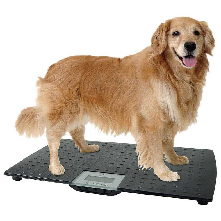 Precision Digital Pet Scales L N274-BP01ZT7400_18