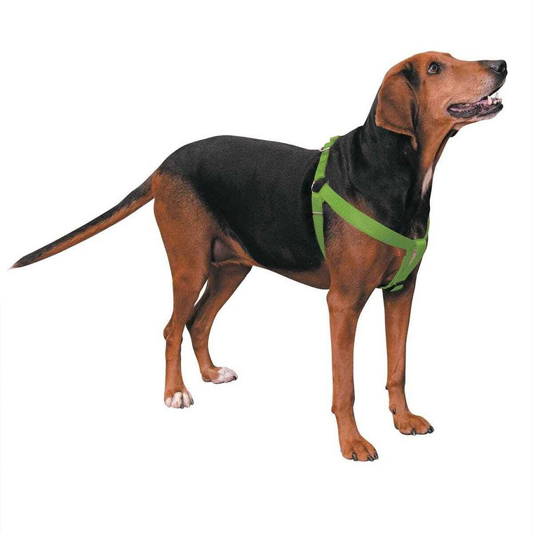 Casual Canine Two-Step Harness 25-40 x 1 in Red N274-BP01ZA817_25_83