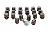 Kia EV3 Wheel Lugs and Locks Kit