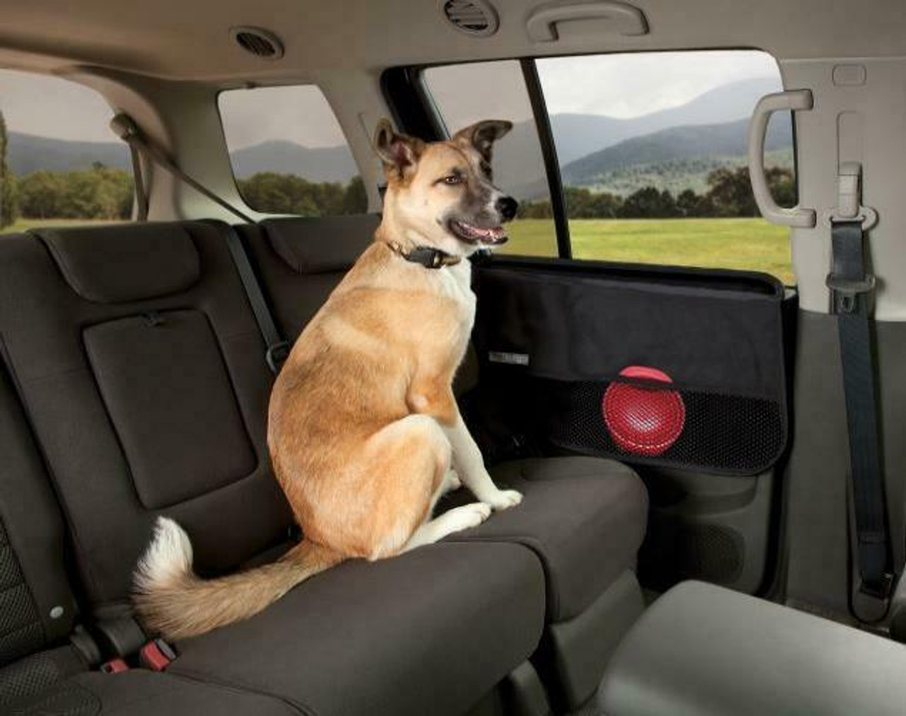 Pet Car Door Guard | Kia Stuff