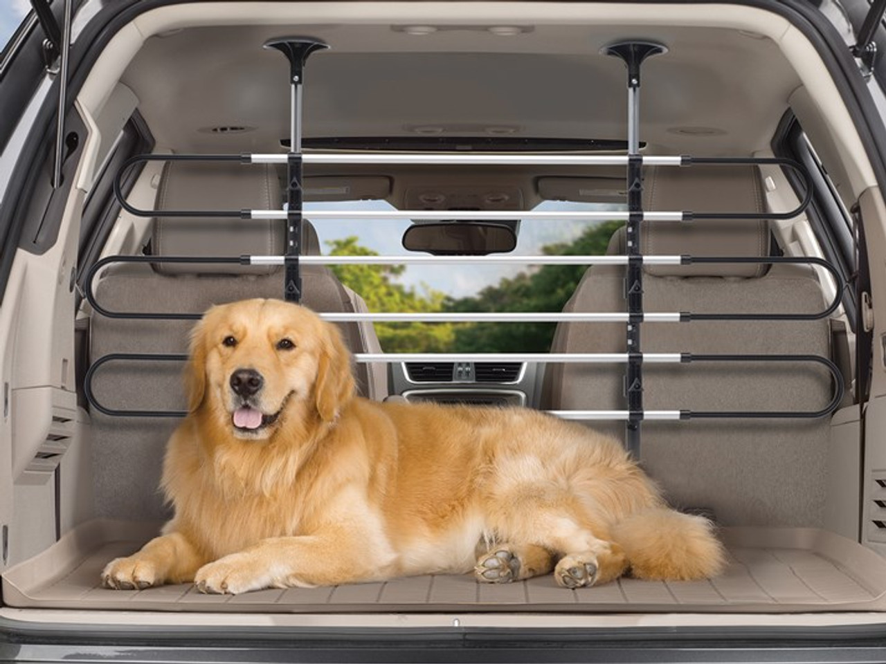 vehicle pet barrier