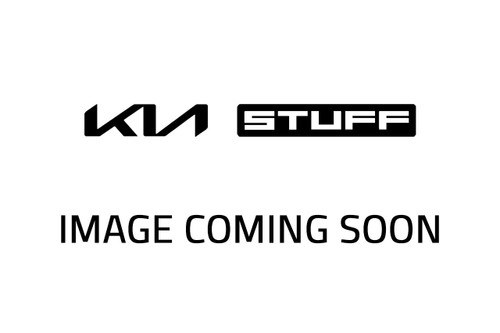 2027 Kia EV3 Door Panel Protector