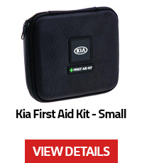 Black Stainless Steel License Place Frame