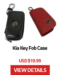 Kia Key Fob Case