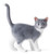 Royal Copenhagen Figurine 2026 - Cat