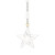 Waterford Mini Star Ornament