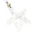 Waterford Mini Star Ornament