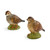 Spode Woodland Quail Figural Salt & Pepper Set