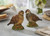 Spode Woodland Quail Figural Salt & Pepper Set