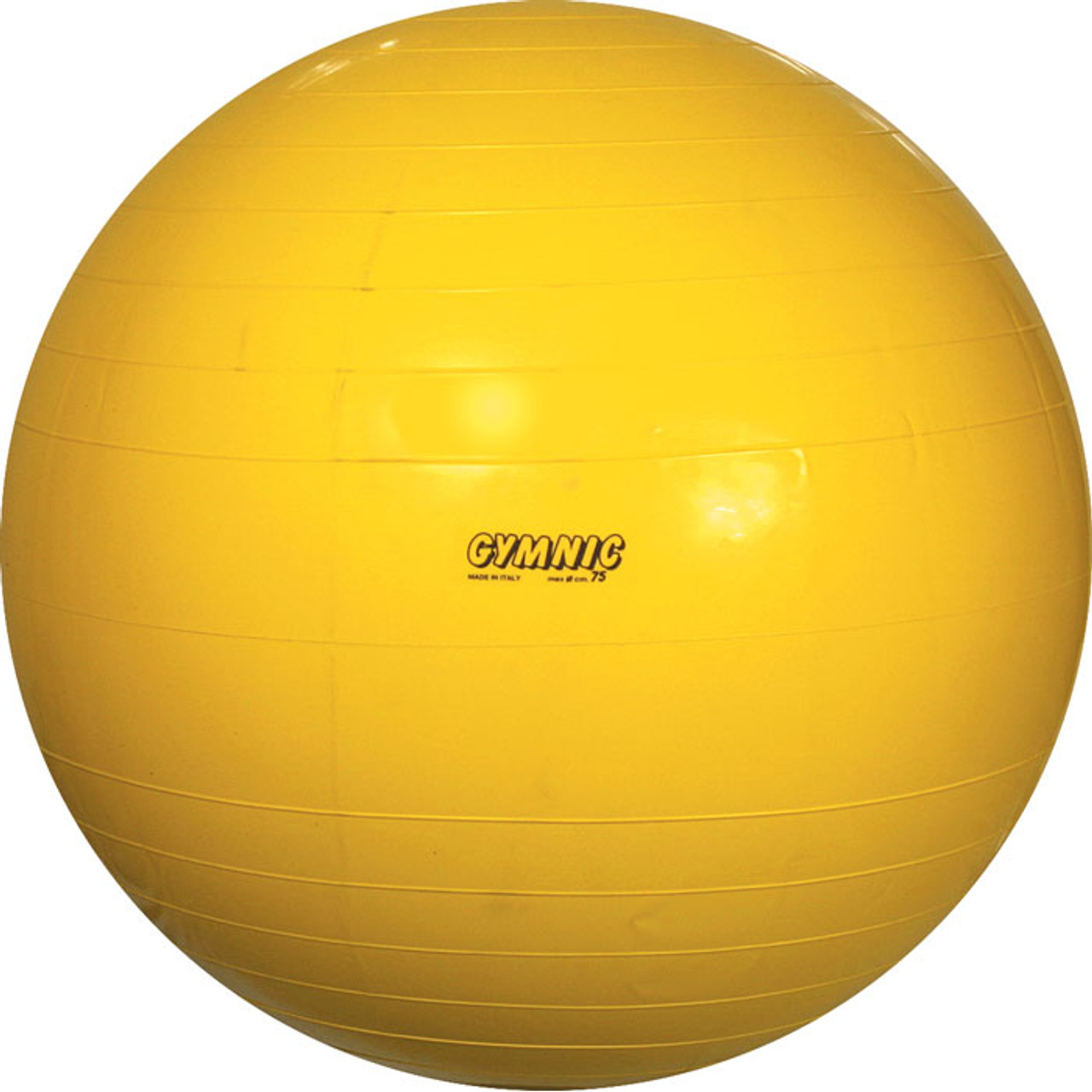 buy exercise ball online