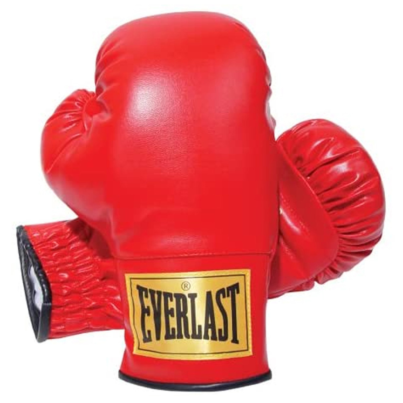Everlast Boxing Gloves 14oz