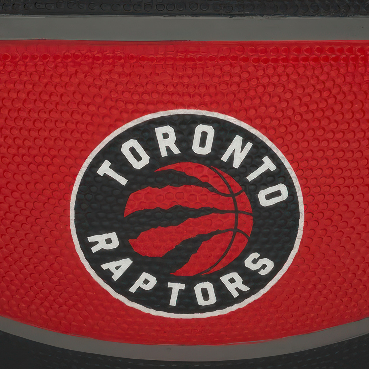 Wilson NBA TEAM TRIBUTE TORONTO RAPTORS, size