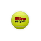 Wilson US Open Regular Duty Tennis Balls (case of 24/3pks)