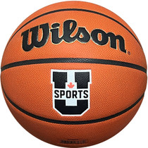 Wilson Evolution Basketball Size 6 | Marchants.com