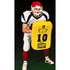 Fisher Curved Body Shield 24"x16"x4" (3lbs)