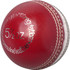 Coaching Cricket Ball - Red/White - Angle View