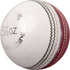 Coaching Cricket Ball - White/Red - Angle View
