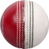 Coaching Cricket Ball - Red/White - End View