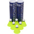 TAG Yellow Nylon Badminton Shuttles