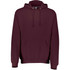 Dri-power Fleece Hoodie