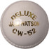 Deluxe Practice Cricket Ball - White - Front View