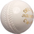 Deluxe Practice Cricket Ball - White - Angle View