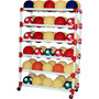6 Shelf Ball Wall Storage System (BALW6)