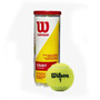 Wilson Championship Extra Duty Tennis Balls (case of 24/3pks)