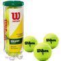 Wilson Championship Regular Duty Tennis Balls - Tube Plus 3 Balls