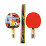Table Tennis Spirit Energy Bat (TTB3)