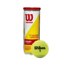 Wilson Champion Extra Duty Tennis Balls (Case of 18pk) (T1001-CS)