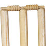 Graddige Spring Back Cricket Stumps - Top View