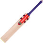 Hypernova 1.0 200 English Willow Adult Cricket Bat - Front