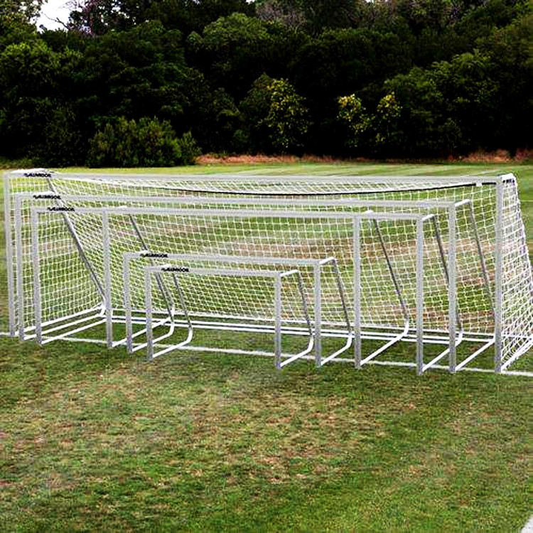 3" Classic Alumagoal 4' X 6' NATURAL