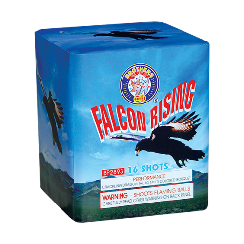 Falcon Rising