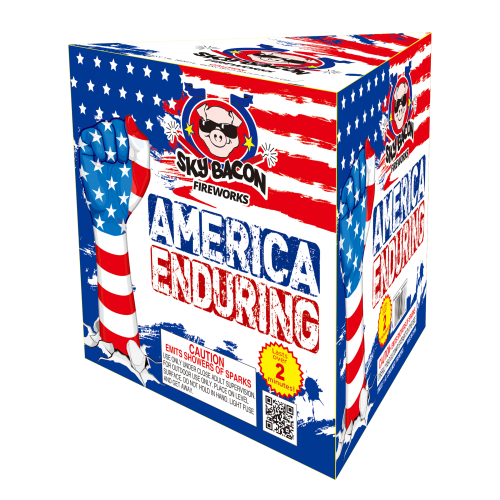 America Enduring