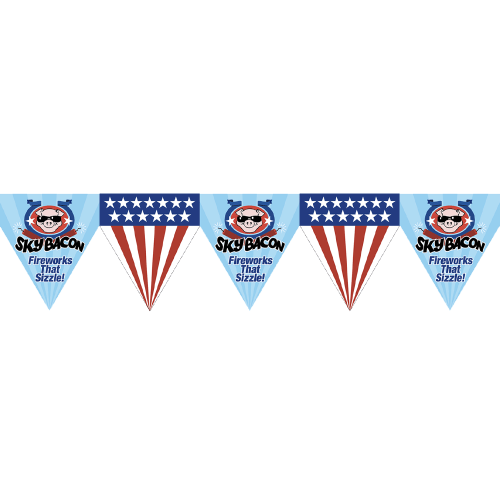 Pennant String - 20 Ft
