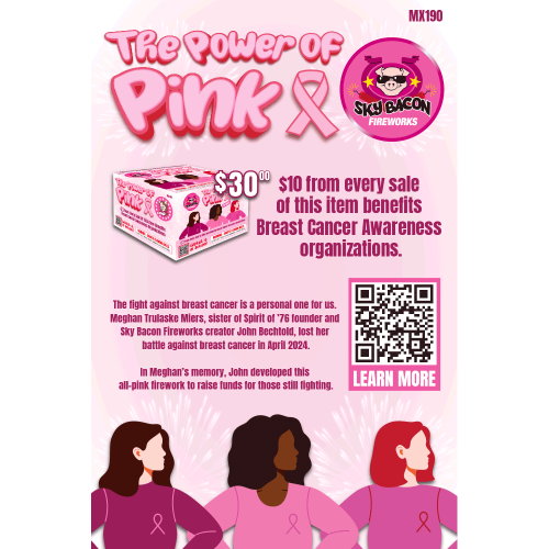Power of Pink Poster