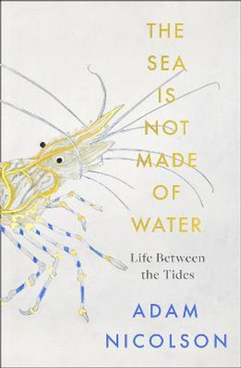 Sea is Not Made of Water : Life Between the Tides / Adam Nicolson
