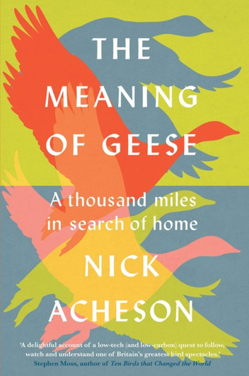 Meaning of Geese : A Thousand Miles in Search of Home / Nick Acheson