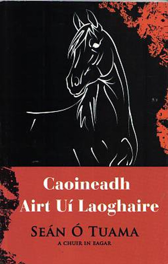 Caoineadh Airt Uí Laoghaire / Seán Ó Tuama