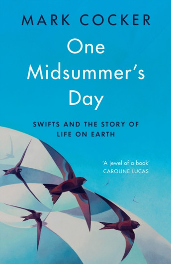 One Midsummers Day / Mark Cocker