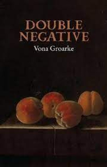 Double Negative / Vona Groarke