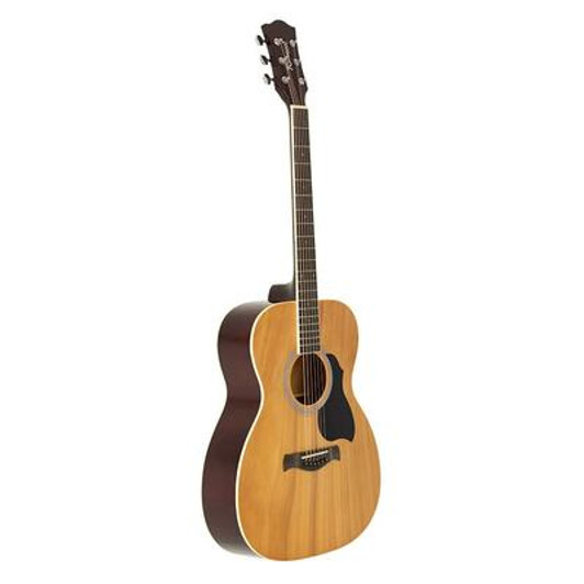 Richwood Guitar RA-12 Artist Series