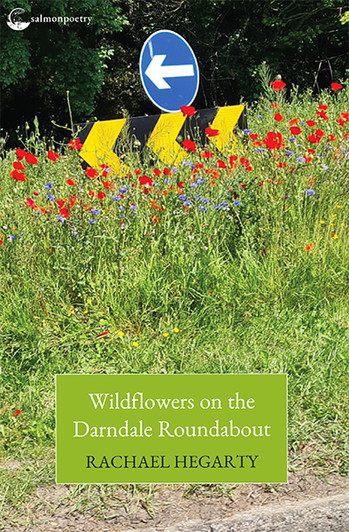 Wildflowers on the Darndale Roundabout / Rachael Hegarty