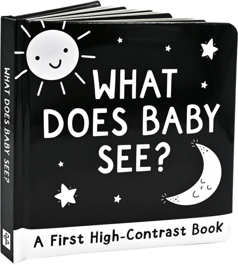 What Does Baby See? A High-Contrast Board Book