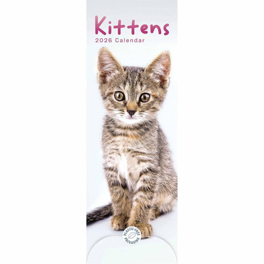 Kittens 2026 Calendar Slim