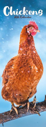 Chickens 2026 Calendar Slim